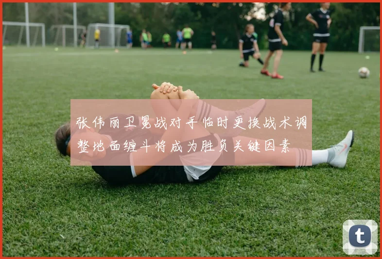 张伟丽卫冕战对手临时更换战术调整地面缠斗将成为胜负关键因素