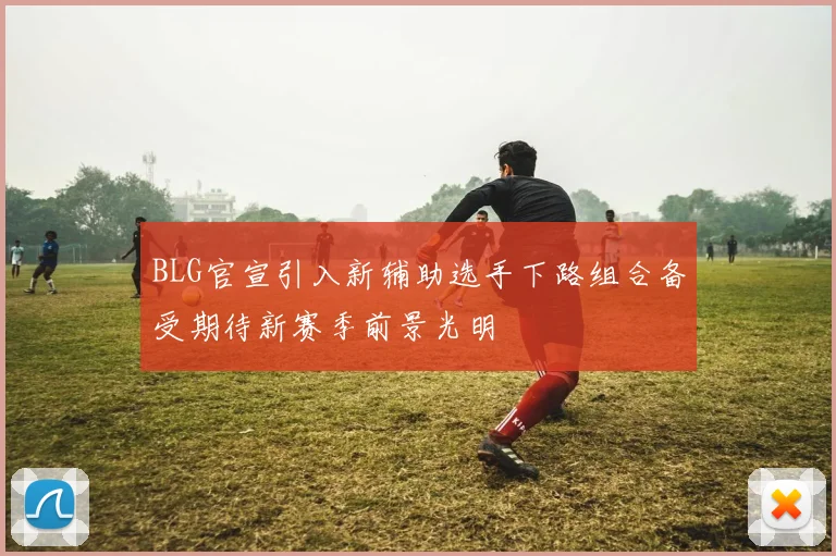 BLG官宣引入新辅助选手下路组合备受期待新赛季前景光明